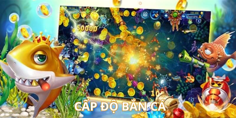 Top cấp bậc săn cá online hiện có