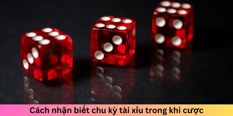 Cách nhận biết chu kỳ tài xỉu trong khi cược