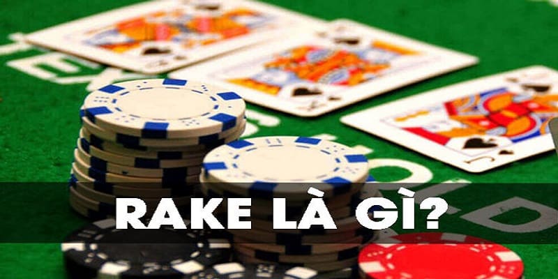 Một số thông tin chi tiết về rake trong poker