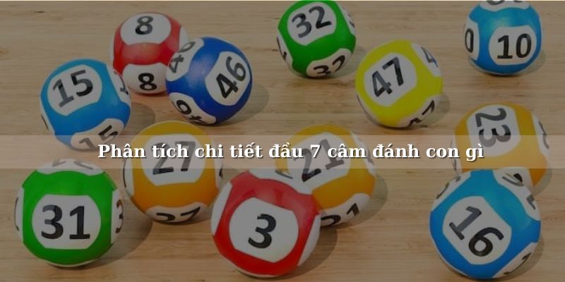 Đầu 7 câm đánh con gì có thực sự mang lại những điều kỳ diệu