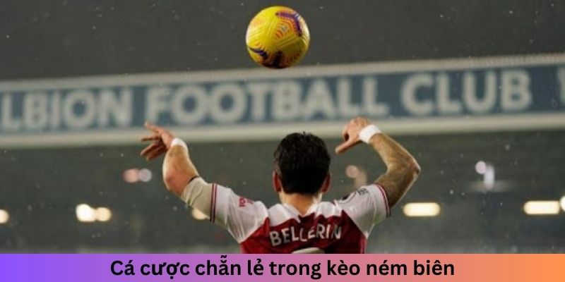 Cá cược chẵn lẻ 