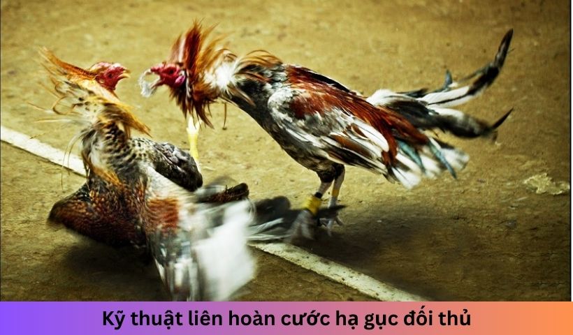 Kỹ thuật liên hoàn cước hạ gục đối thủ